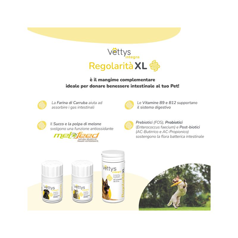Vettys Integra Regolarità Per Cani Taglia XL 30 Compresse-3