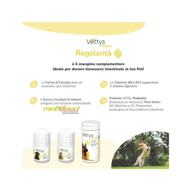 Vettys Integra Regolarità Per Gatti 30 Compresse-3