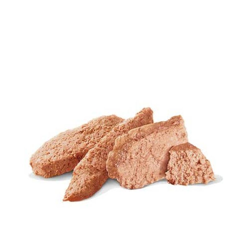 Royal Canin Diet Hypoallergenic Cane Umido 200g-2