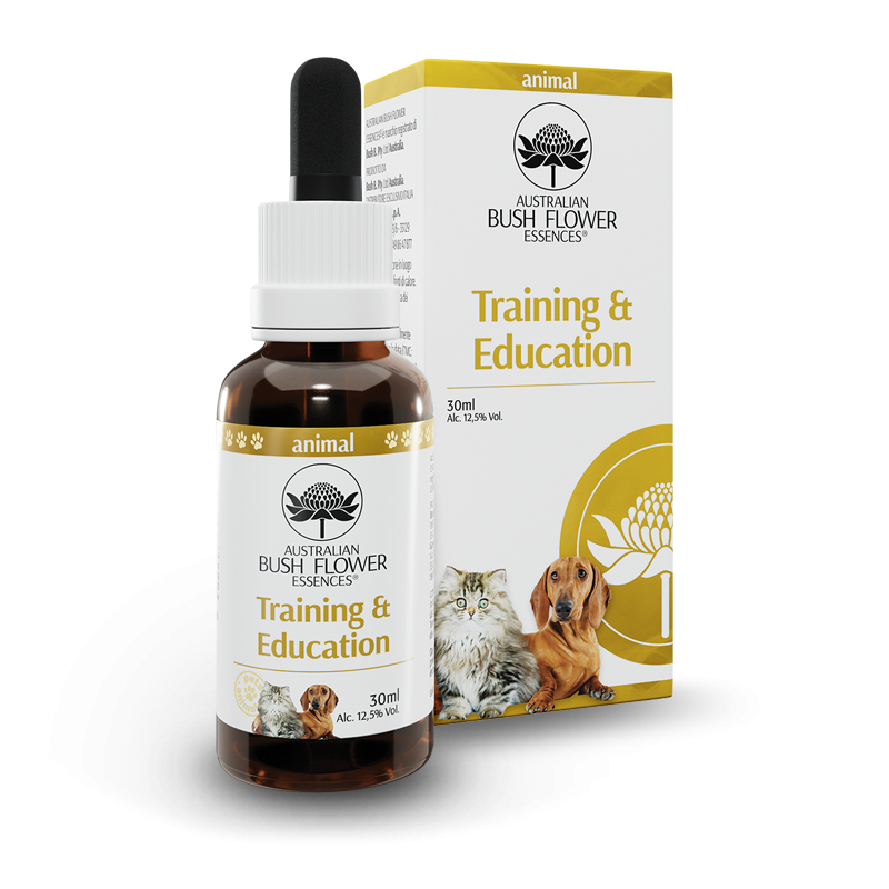 Australian Bush Flower Essences Training&Education 30ml-1