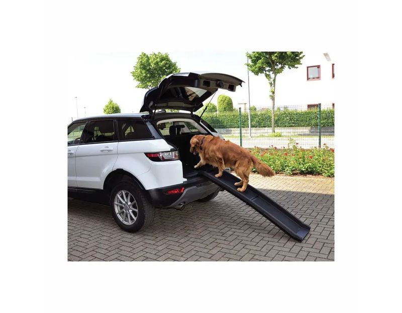 Camon Walky Ramp Rampa In Plastica Per Cani-2