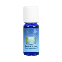 Oshadhi Olio essenziale Eucalipto globulus puro 100% 10 ml