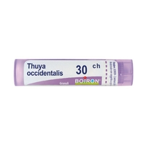 Boiron Thuya Occident 30CH medicinale omeopatico granuli 4g-1