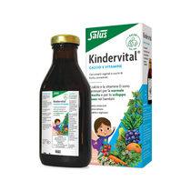 Salus Floradix Kindervital integratore 250 ml