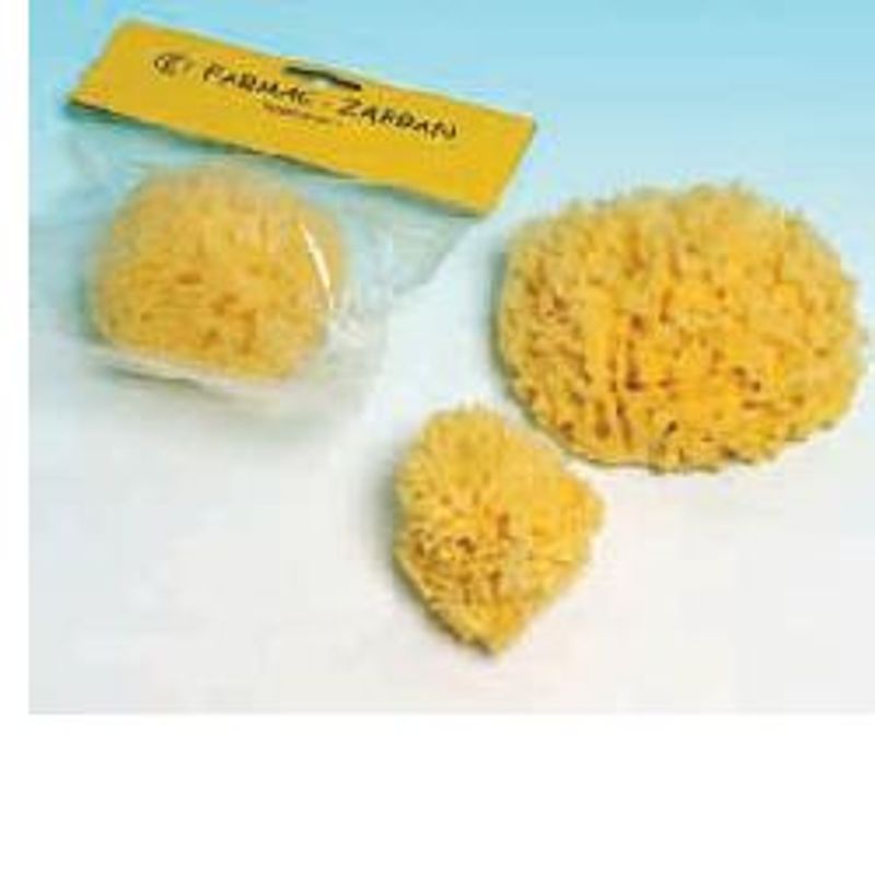 Spugna Naturale Mare Numero 4 Extra Grande 1 Pezzo-1