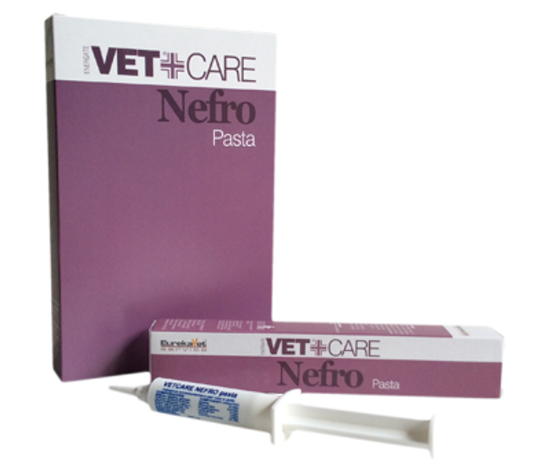 Eureka Nefro Vetcare complemento alimentare utile per cani e gatti anziani pasta 80g