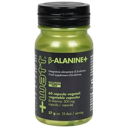 +Watt B-Alanine+ 60 Capsule