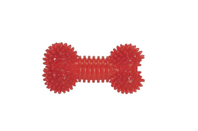 Image of Camon Osso con punte e squeaker in TPR 16.5cm gioco per cani 1 pezzo