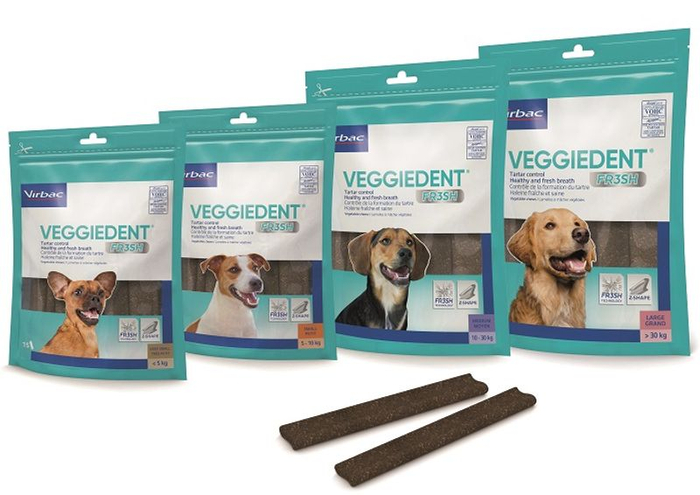 VEGGIEDENT FR3SH