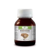 Renaco Maitake Fungus per il sostegno del sistema immunitario e del metabolismo 60 capsule-1