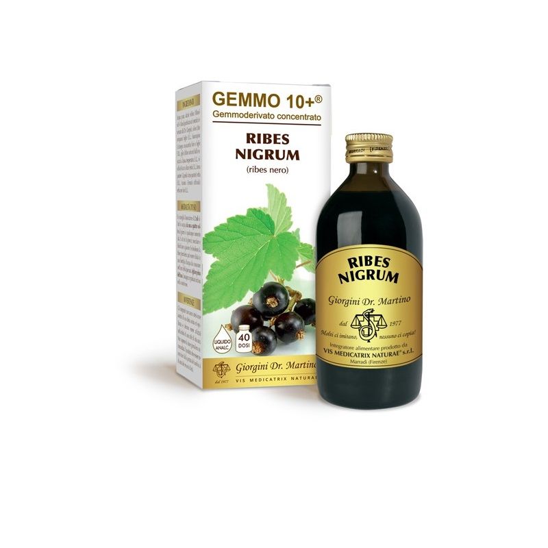 Dr. Giorgini Gemmo 10+ Ribes Nigrum (ribes nero) 200ml-1